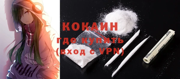 хмурый Туринск