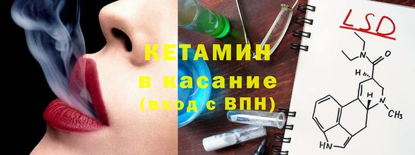 шишки Верея