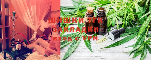 хмурый Туринск