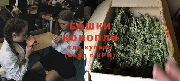 хмурый Туринск