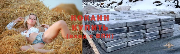 хмурый Туринск