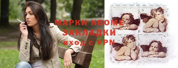 хмурый Туринск