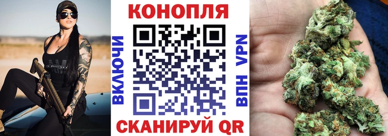 Купить где  Пустошка  Бошки Шишки тримм 
